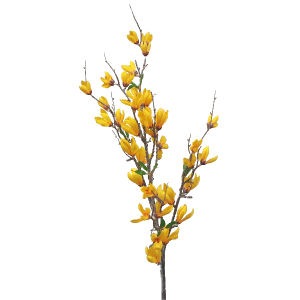 Yellow Magnolia bud spray S3106Yel
