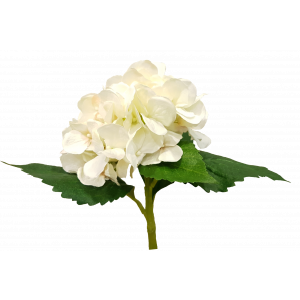cream vanilla Hydrangea Artificial Flowers quality