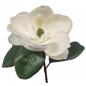 S9995Wht Magnolia White 