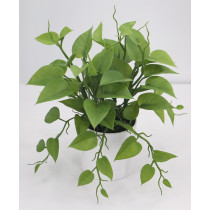 28cm Philo Leaf Bush in Pot	
