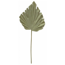 S5918Bge Beige Palm Leaf