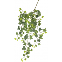 Ivy Vine 140 Leaves	