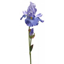 S3924Blu Blue Iris