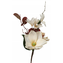 S3955Crm Cream Dried Magnolia Hydrangea Frangipani Bouquet