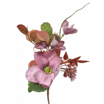 S3955Mve Mauve Dried Magnolia Hydrangea Frangipani Bouquet