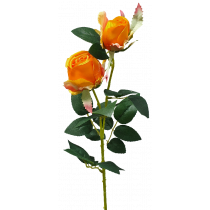 S7542Org 67cm Orange opening rose with Rosebud