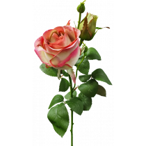 65cm Light Pink Opening Rose with Rosebud S7544Pnk
