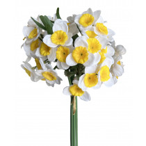 Narcissus Bouquet