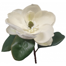 S9995Wht Magnolia White 
