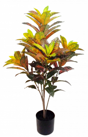 S2856MX 91cm Red Yellow Croton in Pot