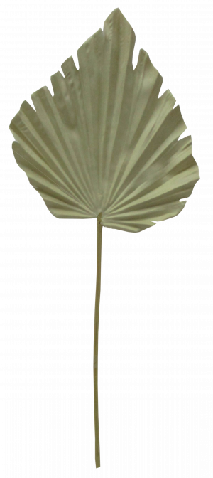 S5918Bge Beige Palm Leaf