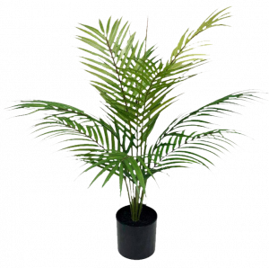S2853Grn Green Palm in Pot 61cm