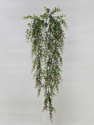 Boxwood Hanging Vine x 5 with Purple Berries