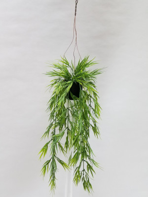 S2749Grn Mini Bamboo in Hanging Pot