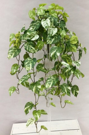 S20801Grn Real Touch Pothos hanging Bush x 12
