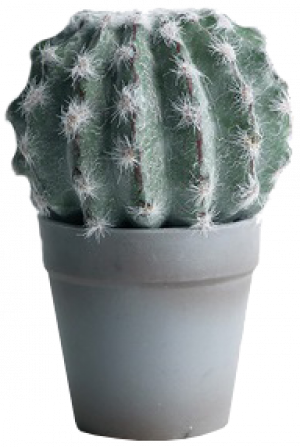 S2837Grn 16cm Cactus Plant in Grey Pot
