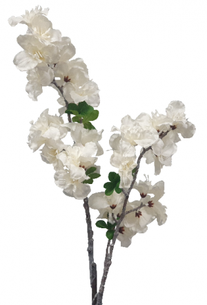 White Blossom S3105Wht