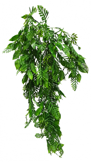 Hanging Fern Leaf Combo