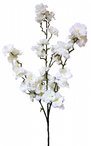 White Cherry Blossom S3610Wht