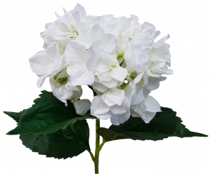S5799Wht Long Stem White Hydrangea Silk Flower Wedding JMCFLORAL