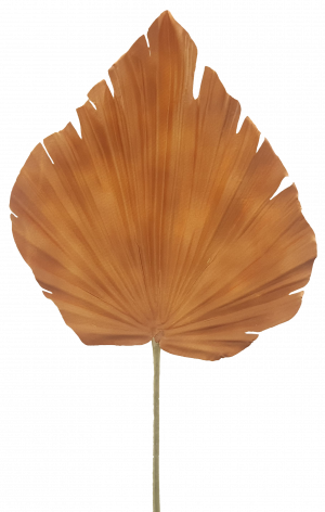 61cm Palm Leaf