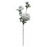 S5915Wht White Ranunculus Spray x 3