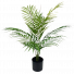 S2853Grn Green Palm in Pot 61cm