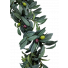 Olive Leaf and Berry Garland