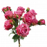 Dried Dark Pink Rose by 9 with rosebuds bouquet S3974DkPnk