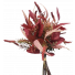 Burgundy Native Leaves Amaranthus Gum leaf Bundle S3996Burg